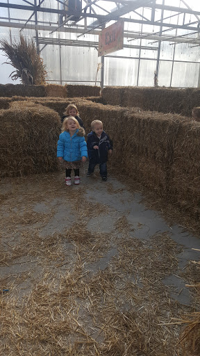 Garden Center «Walker Farms», reviews and photos, 5253 E Atherton Rd, Burton, MI 48519, USA