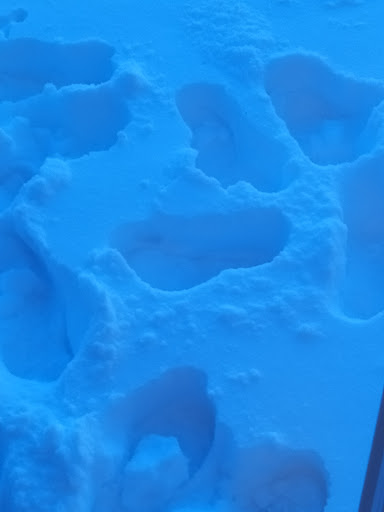 Pet Supply Store «Concord Pet Foods & Supplies», reviews and photos, 2062 Newark Rd, West Grove, PA 19390, USA