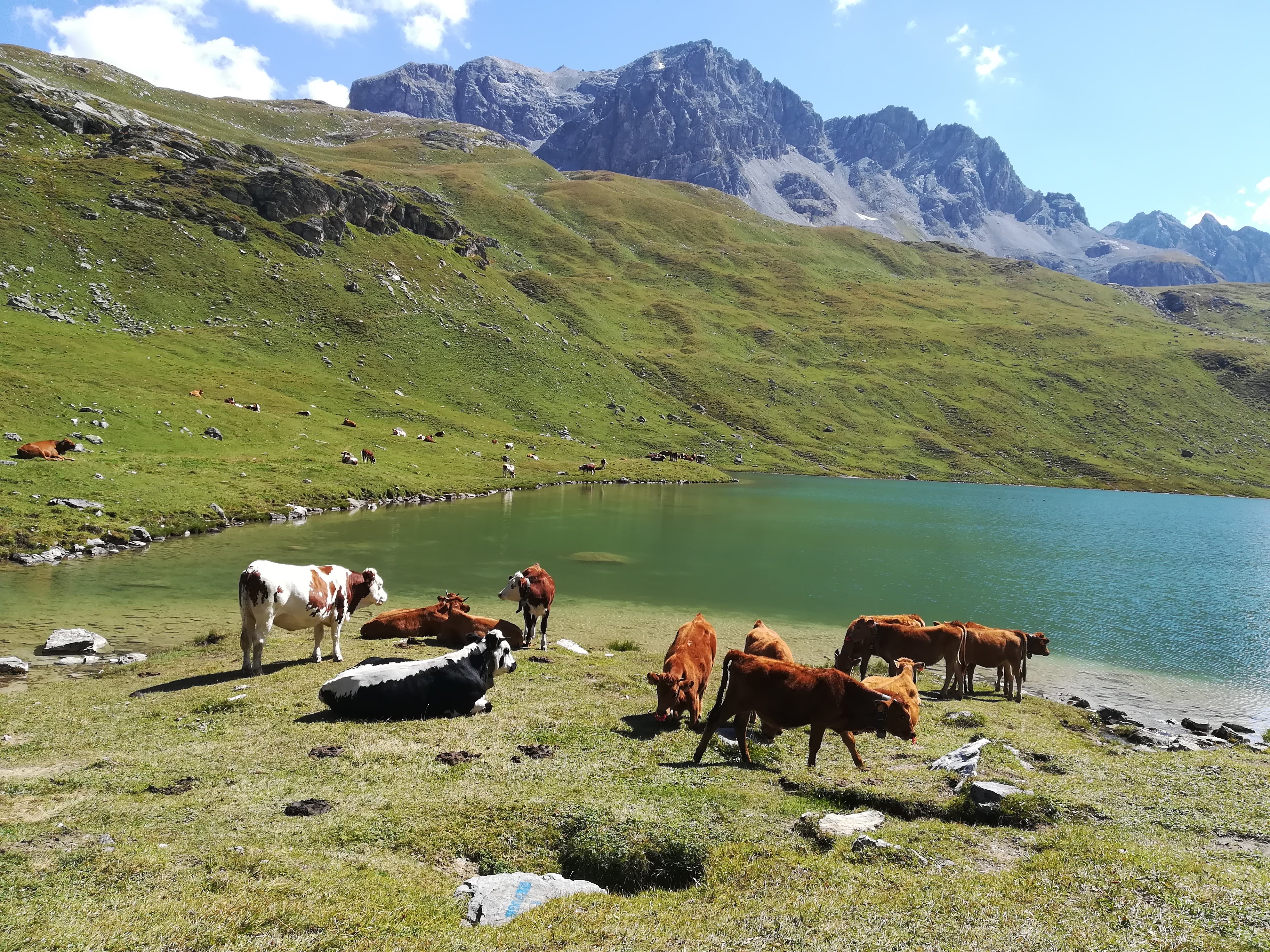 Photo n° 5 de l'avis de olga.a fait le 11/09/2018 à 08:39