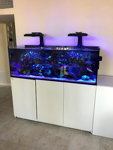 Aquarium «Zen Aquatics», reviews and photos, 44843 San Pablo Ave, Palm Desert, CA 92260, USA