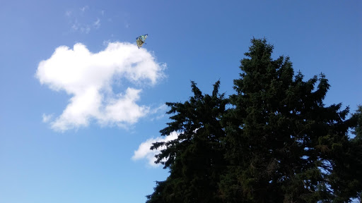 Water Park «Petersen Splash Pad at Watson Park», reviews and photos, Gordon Rd, Braintree, MA 02184, USA
