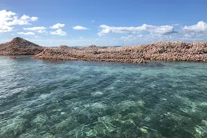 Conch Island image