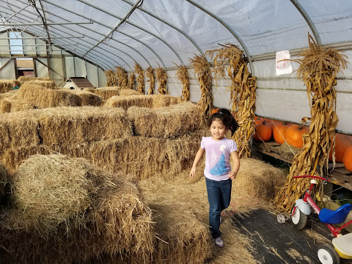 Farm «Fairmount Fruit Farm», reviews and photos, 887 Lincoln Street, Franklin, MA 02038, USA