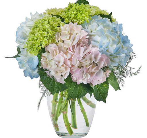 Florist «Bruce Flowers», reviews and photos, 454 Main Ave, Norwalk, CT 06851, USA