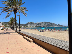 Platja Nova'in fotoğrafı çok temiz temizlik seviyesi ile