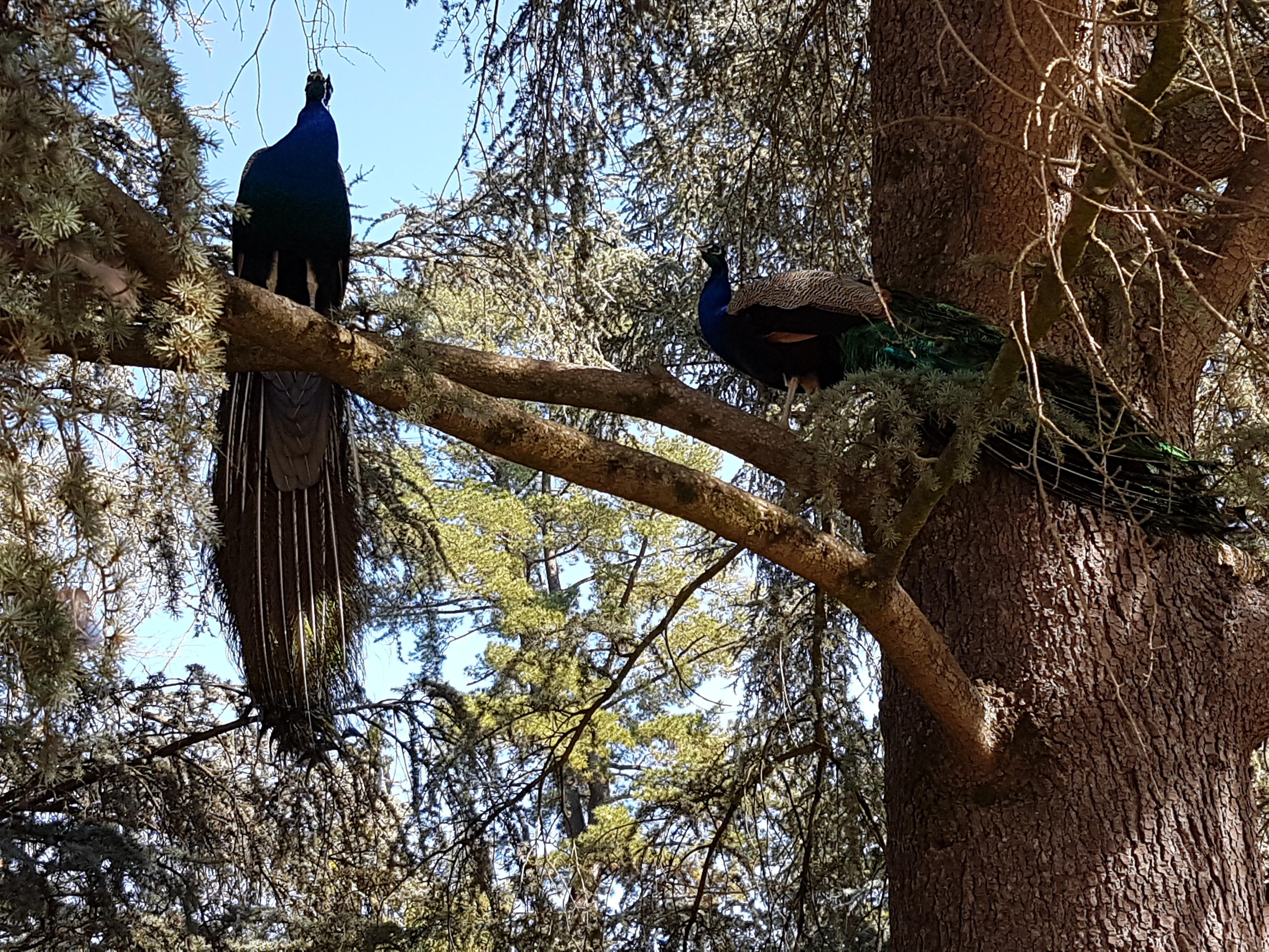 Photo n° 1 de l'avis de Margaux.a fait le 23/02/2019 à 13:52