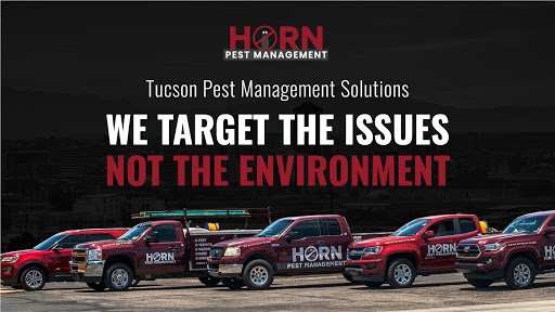 Horn Pest Management - Tucson Pest Control