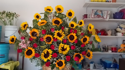 Floreria Salagua – Manzanillo