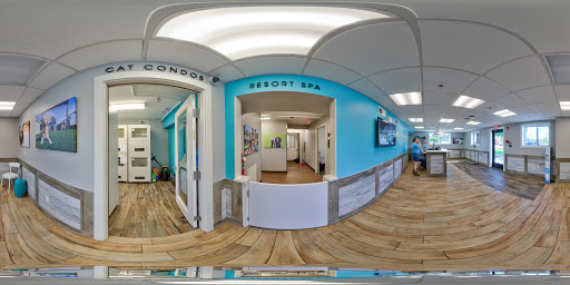 Kennel «Pampered Pets», reviews and photos, 601 Concord Ave, Charlottesville, VA 22903, USA