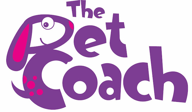 The Pet Coach - Dog trainer