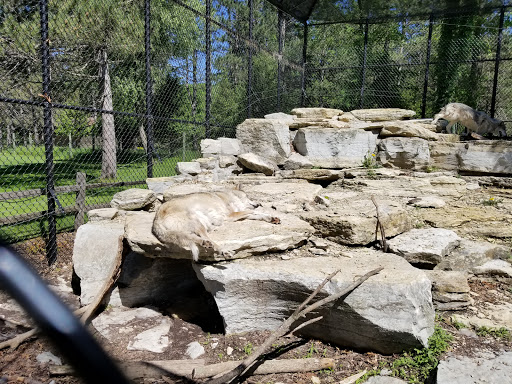 Park «Oxbow Park & Zollman Zoo», reviews and photos, 5731 County Rd 105 NW, Byron, MN 55920, USA