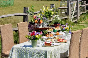 Bewl Rookery Afternoon Tea with Alpacas & flowers for local sale image
