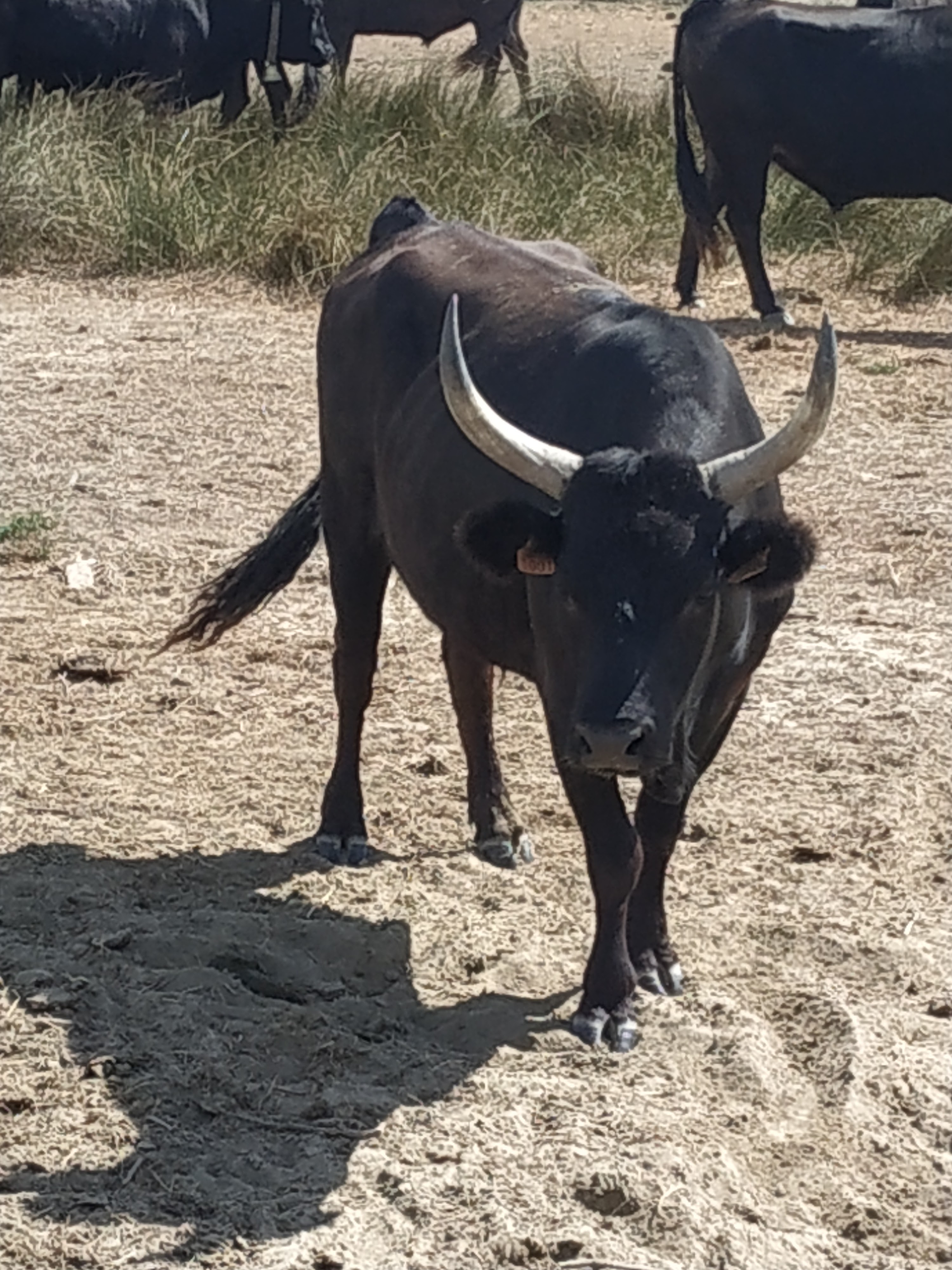 Photo n° 2 de l'avis de Dav.2 fait le 21/08/2019 à 12:06