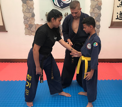 HAPKIDO CKA COLOMBIA