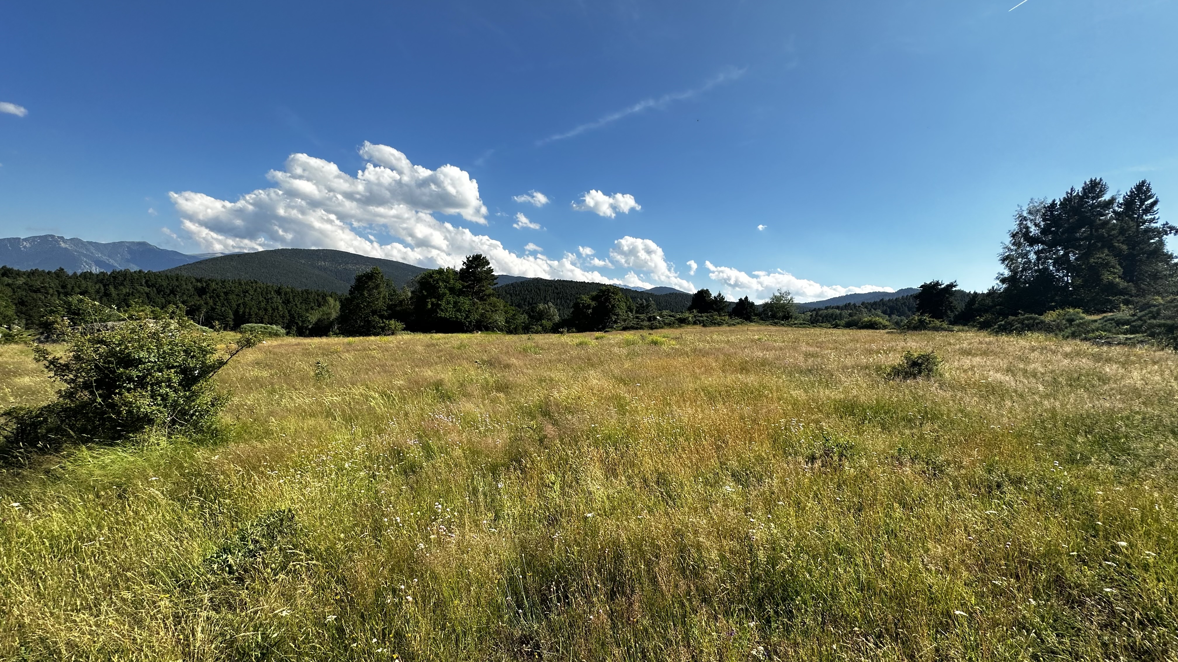 Photo n° 3 de l'avis de Pierre-François.e fait le 20/07/2023 à 21:35