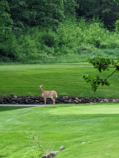 Golf Course «Bull Valley Golf Club», reviews and photos, 1311 Club Rd, Woodstock, IL 60098, USA