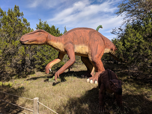 Museum «Dinosaur World», reviews and photos, 1058 Park Rd 59, Glen Rose, TX 76043, USA