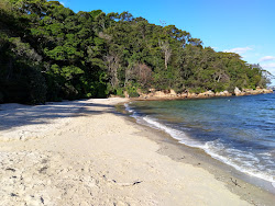 Photo de Whiting Beach avec un niveau de propreté de très propre