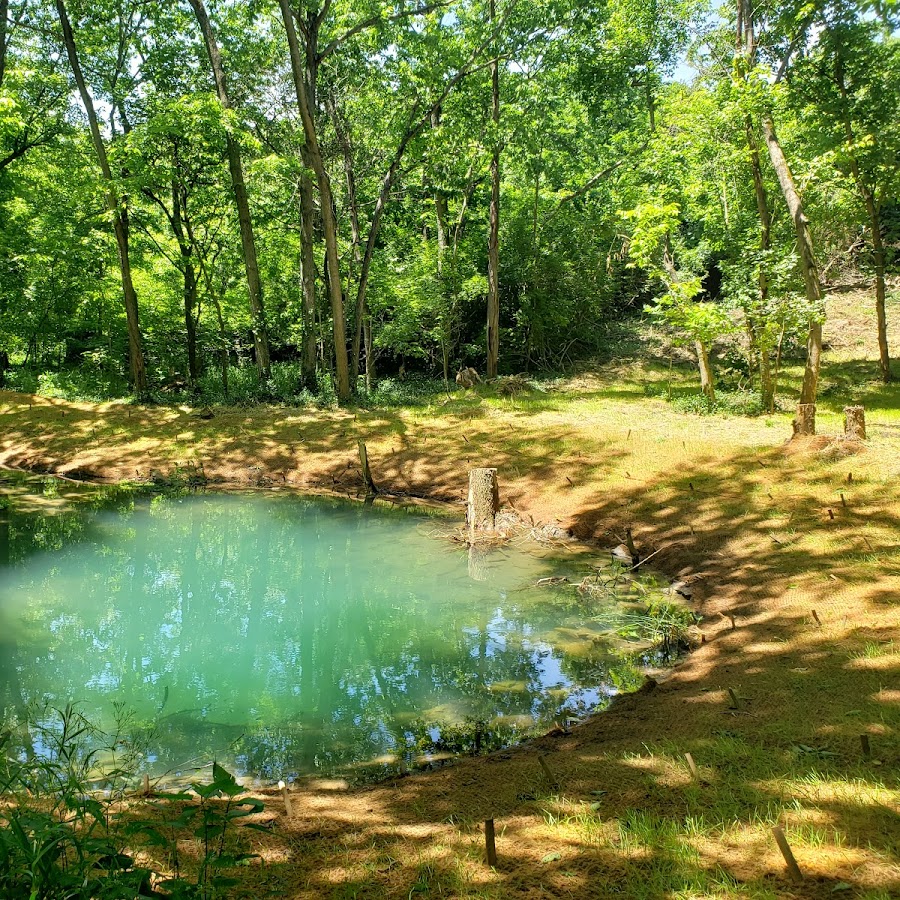 McConnell Springs Park