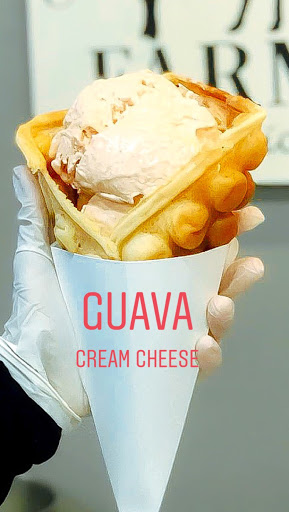 Ice Cream Shop «Instacream N7», reviews and photos, 8008 NW 103rd St, Hialeah Gardens, FL 33016, USA