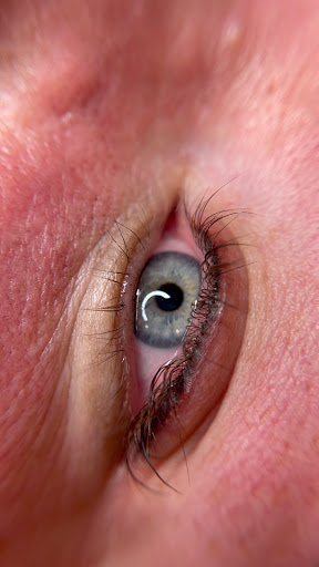 Find shark tattoo ideas for your next unique tattoo in Peoria Heights at BeautiFULL Brows By Jen Microblading - Permanent Makeup Wild Honey Beauty Studio