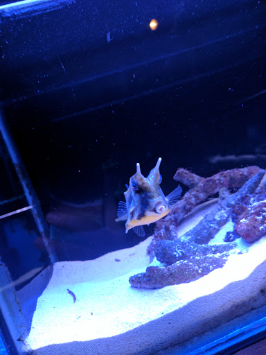 Pet Store «Animal Attraction», reviews and photos, 2518 11th Ave, Greeley, CO 80631, USA