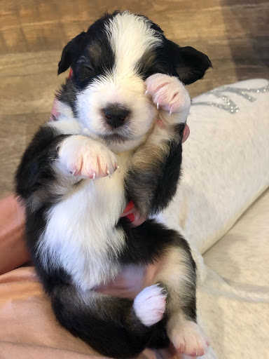 559 W 1830 N, Orem, UT 84057, USA