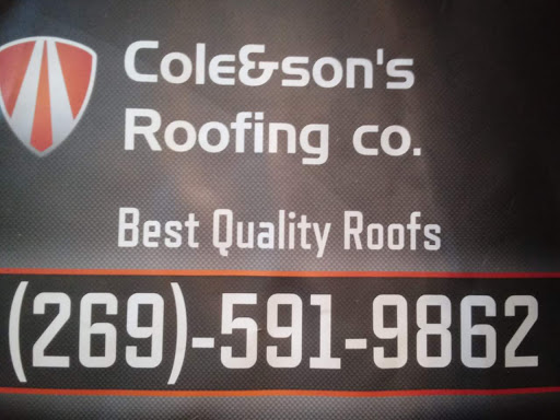 Professional Roofing in Berrien Springs, Michigan