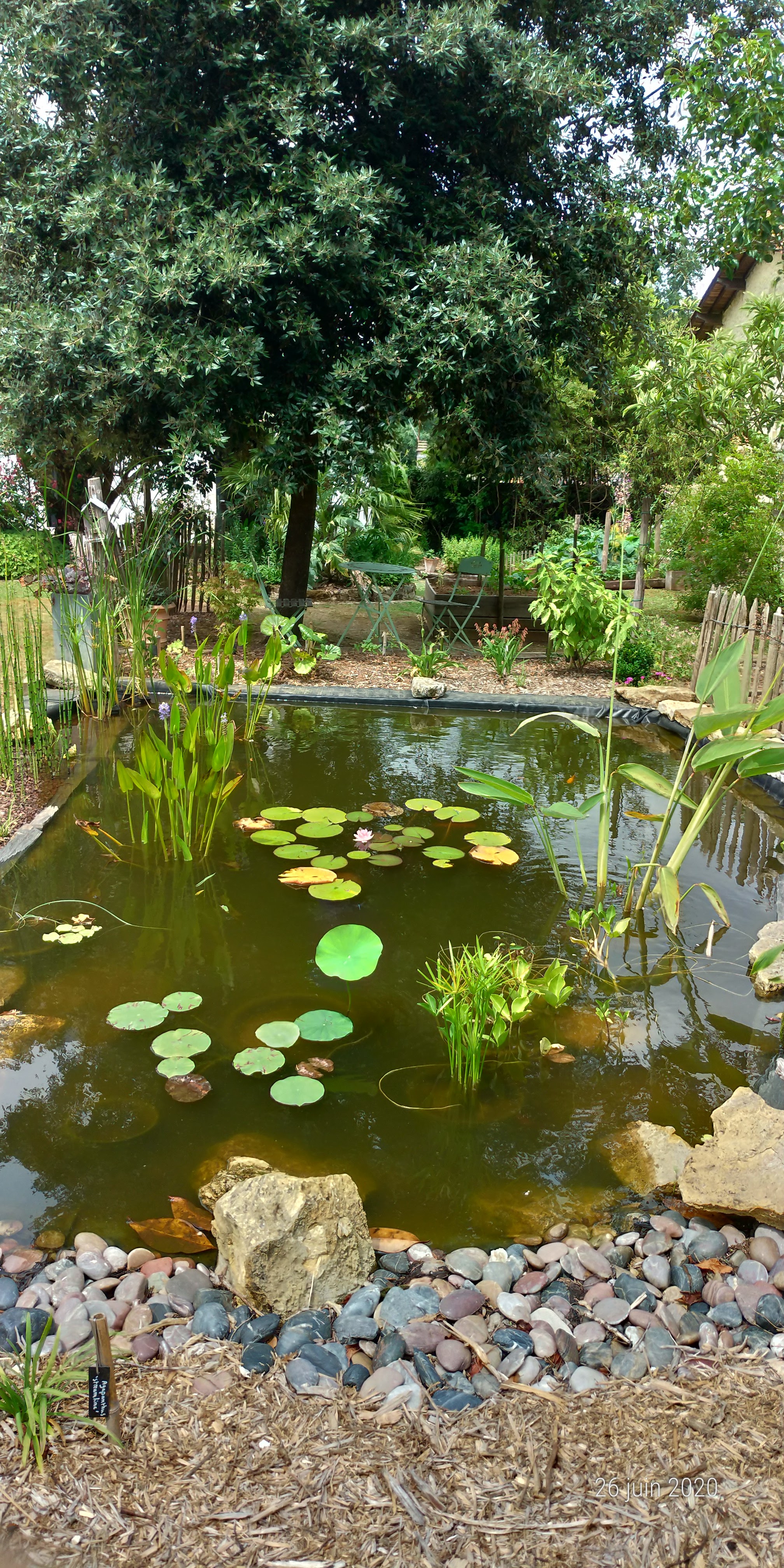 Photo n° 4 de l'avis de joce.o fait le 26/06/2020 à 16:58