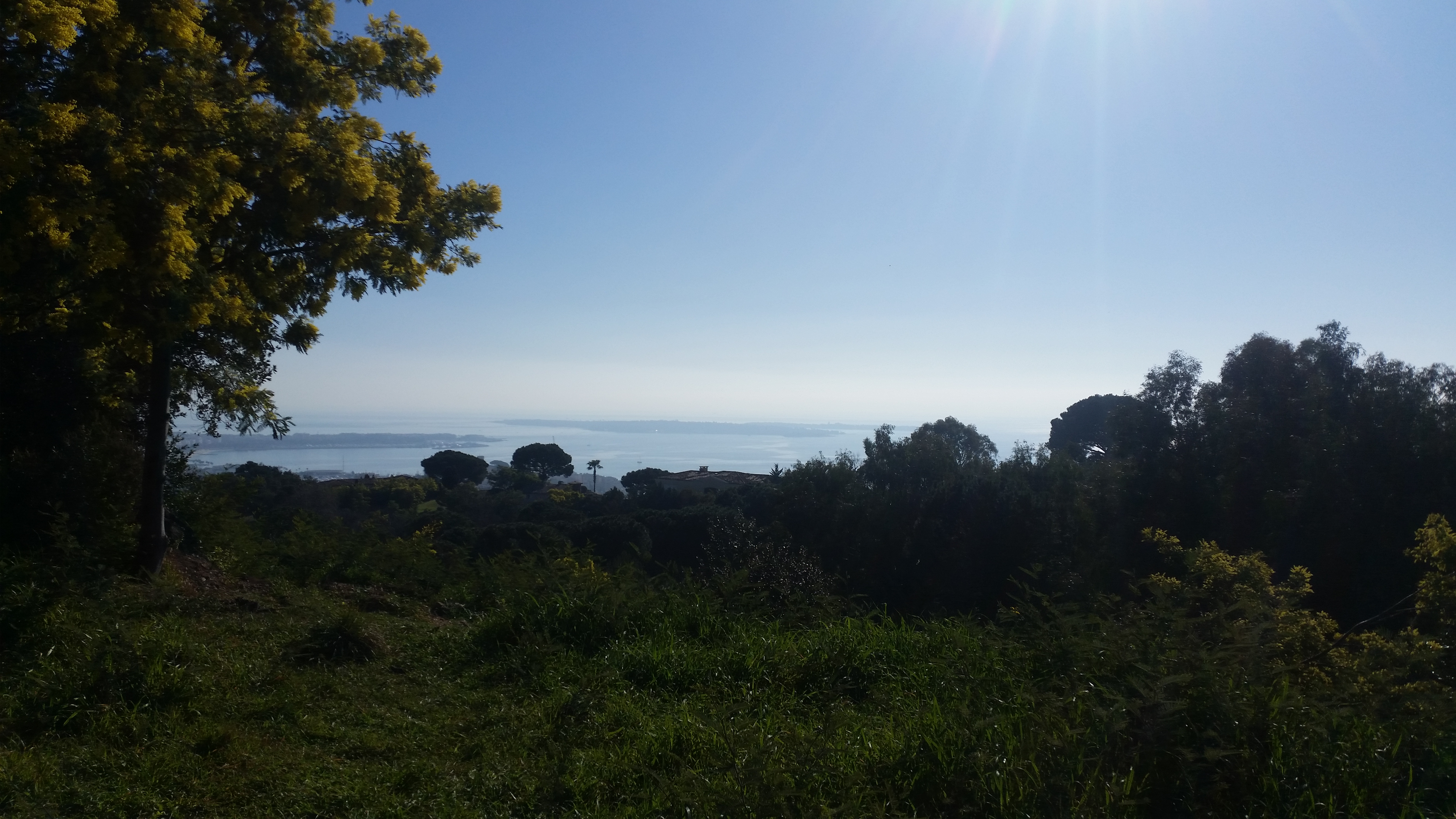 Photo n° 3 de l'avis de Anne.e fait le 19/02/2019 à 17:19