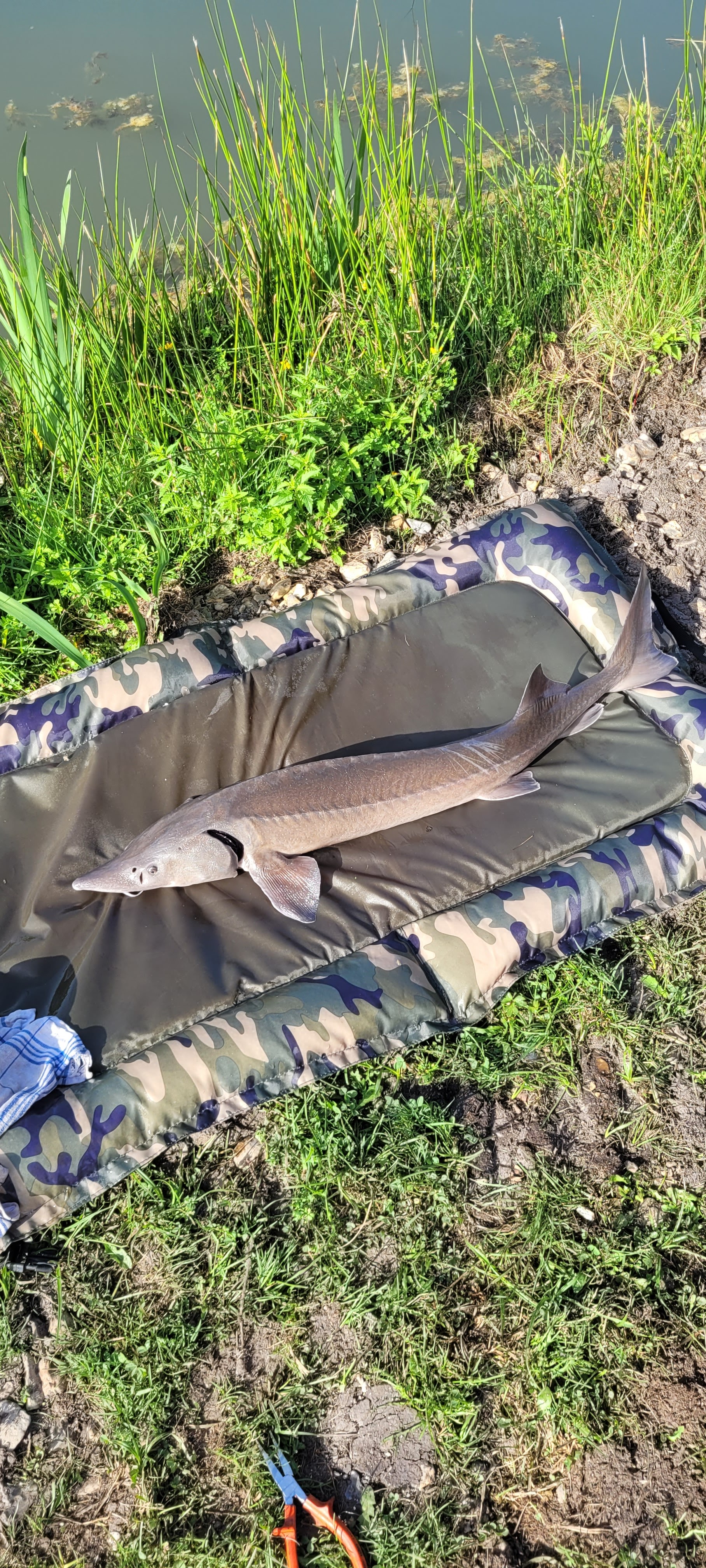 Photo n° 1 de l'avis de Damien.o fait le 27/08/2023 à 16:16