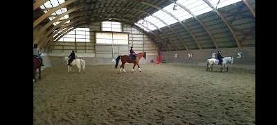 Poneys Et Cie à Flaxlanden