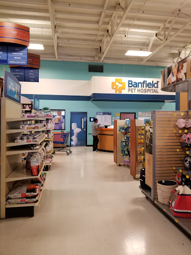 Pet Supply Store «PetSmart», reviews and photos, 15042 Summit Ave, Fontana, CA 92336, USA