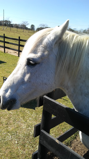 Wedding Venue «Rancho Alegre Farm», reviews and photos, 2225 Givens Rd, Dacula, GA 30019, USA