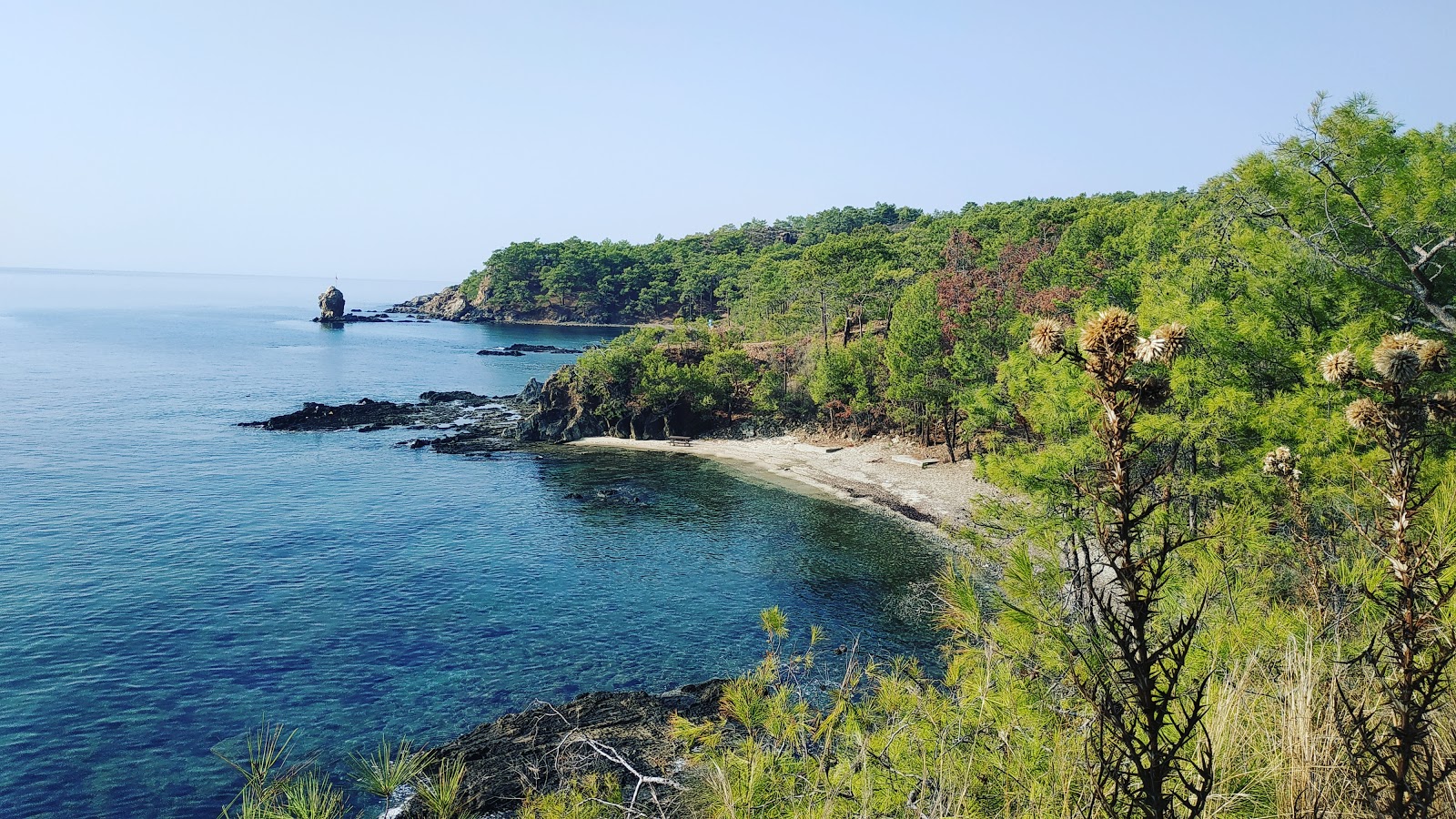 Photo of Pullu beach with very clean level of cleanliness