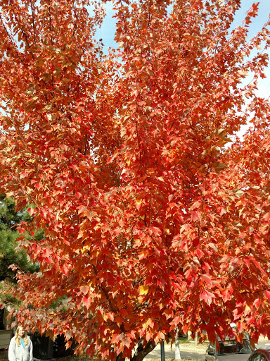 Event Venue «Lionsgate Event Center», reviews and photos, 1055 S 112th St, Lafayette, CO 80026, USA