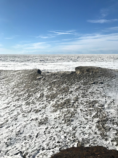 Historical Landmark «Dunkirk Lighthouse», reviews and photos, 1 Point Dr N, Dunkirk, NY 14048, USA