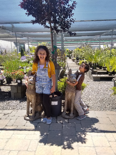 Building Materials Store «Silverado Building Materials», reviews and photos, 460 S Stockton Ave, Ripon, CA 95366, USA