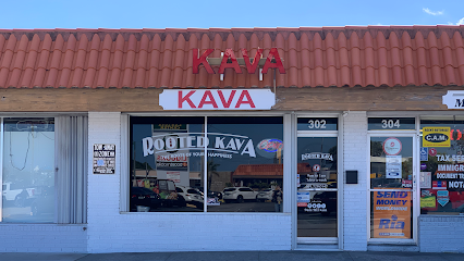 Rooted Kava