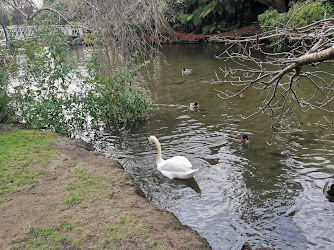 Swan Lake Gardens