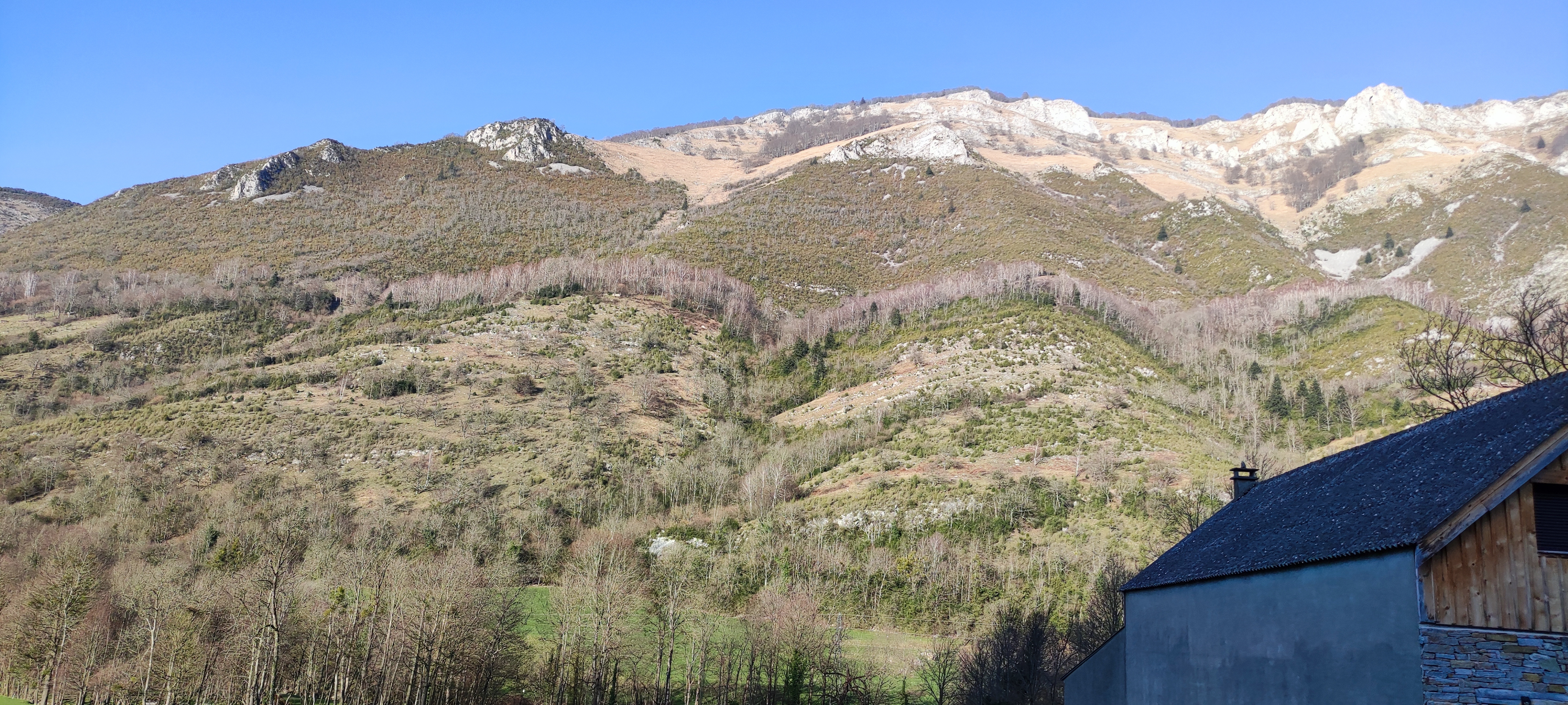 Photo n° 2 de l'avis de Ga'Hell.� fait le 08/03/2021 à 18:03
