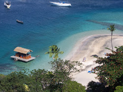 Foto di Young Island beach ubicato in zona naturale