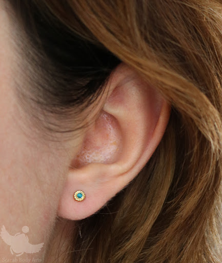 Explore ideas for spine tattoos, creative tattoo ideas in Syracuse, available at Scarab Body Arts