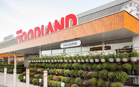 Foodland - Shelburne image