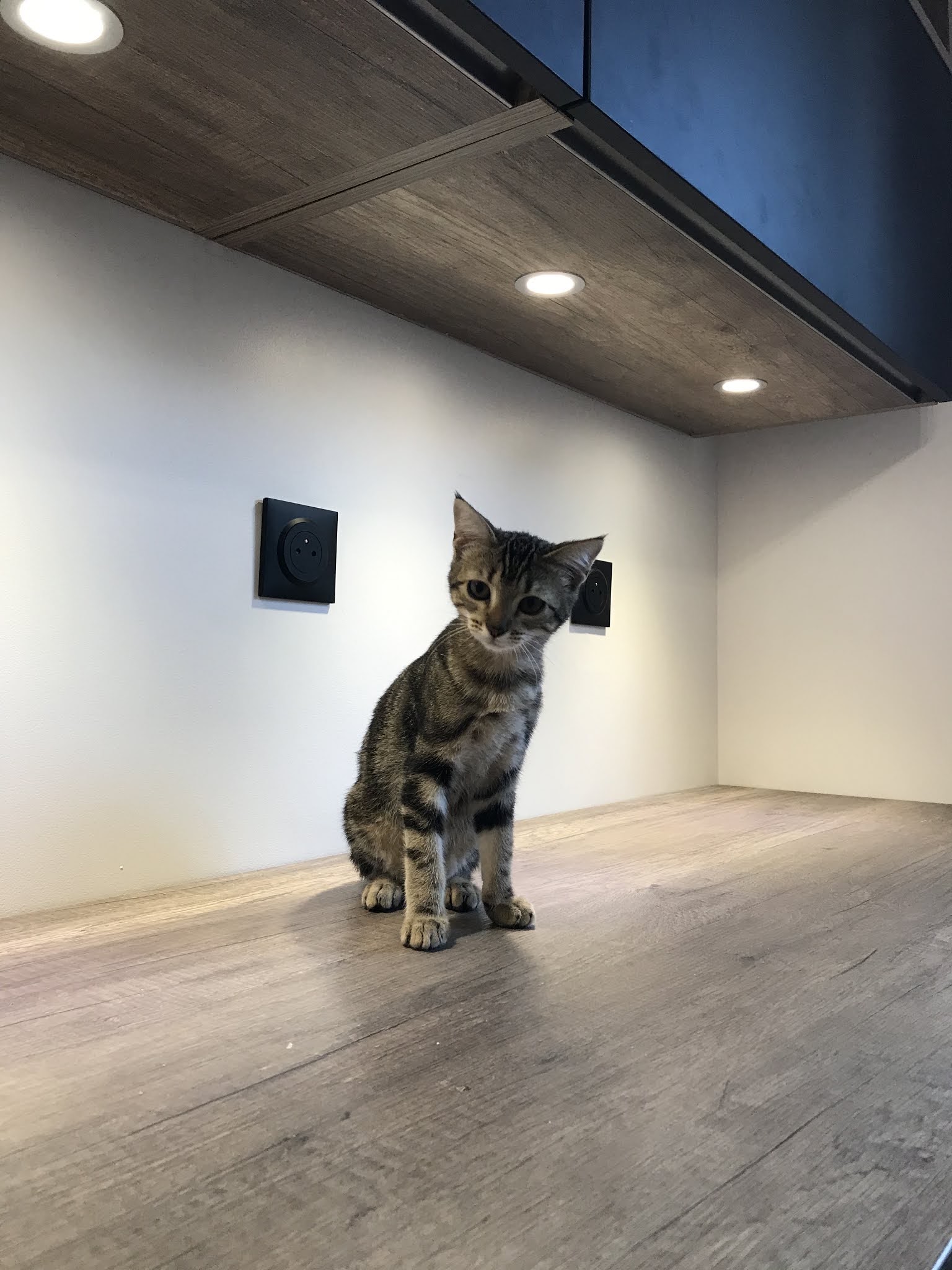 Photo n° 2 de l'avis de Eloïse.a fait le 15/09/2020 à 17:50