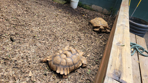 Zoo «Chestatee Wildlife Preserve & Zoo», reviews and photos, 469 Old Dahlonega Hwy, Dahlonega, GA 30533, USA