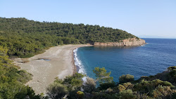 Foto von Pink Pebble Dark beach mit sehr sauber Sauberkeitsgrad