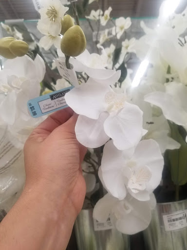 Craft Store «Michaels», reviews and photos, 12425 SW 88th St, Miami, FL 33186, USA