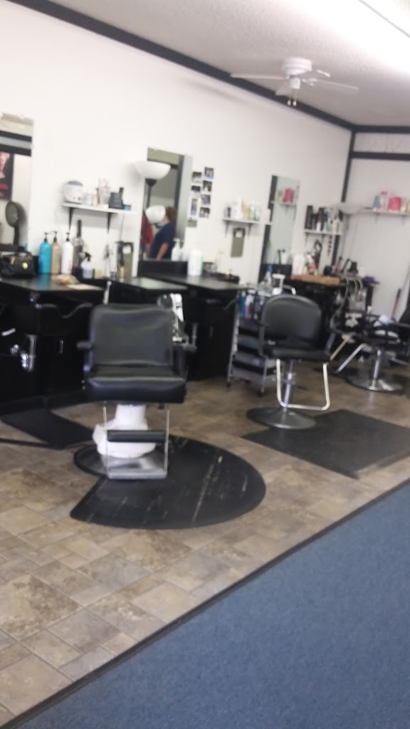 Shear Productions Salon 45056