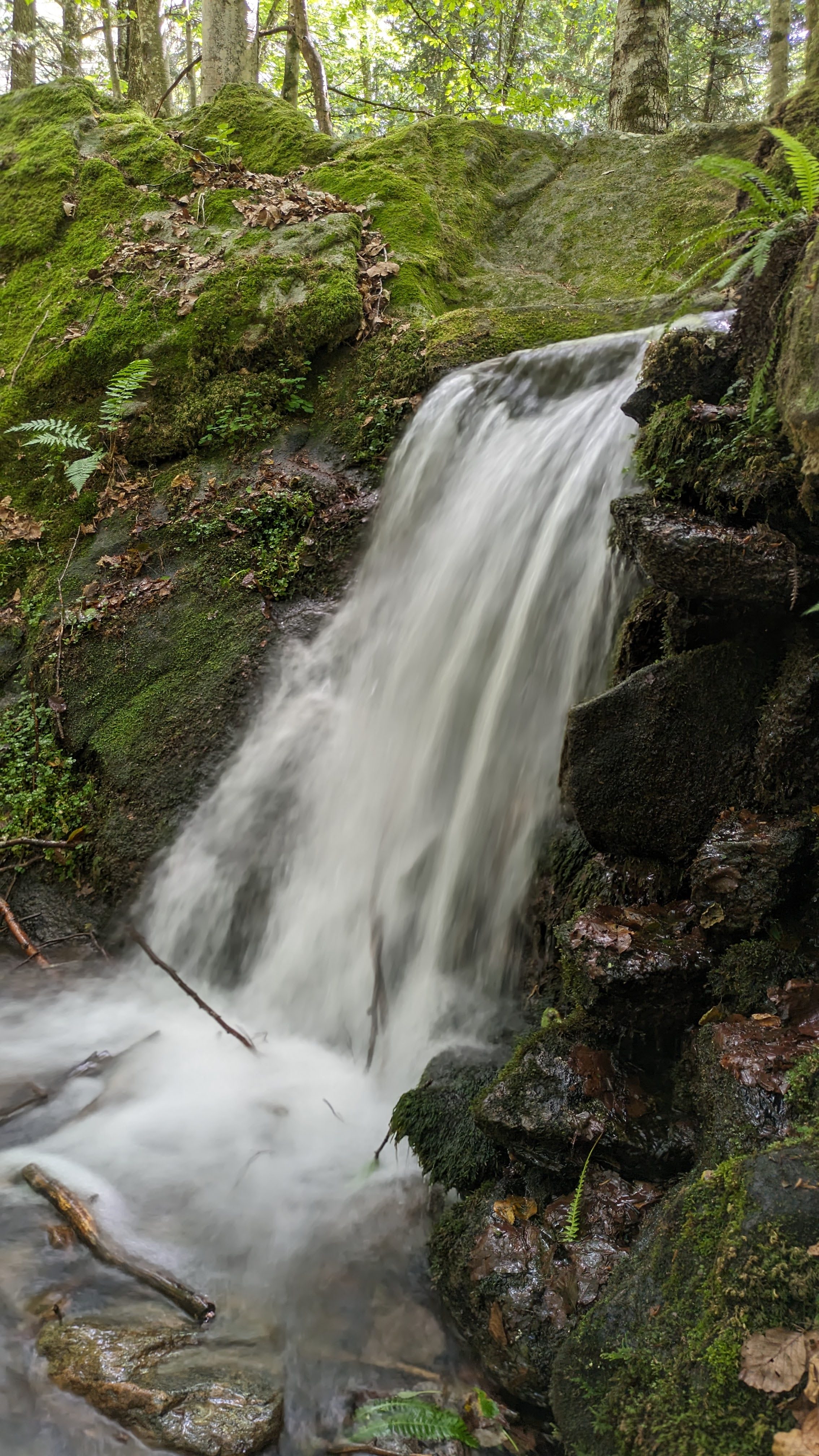 Photo n° 3 de l'avis de Dada.e fait le 15/08/2023 à 12:32